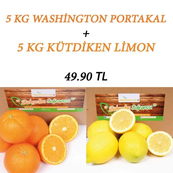 55 portakal limon taze dalindan parafinsiz dogal meyve 0420869846361827