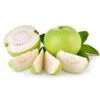 Guava Fidanı 3 Yaş