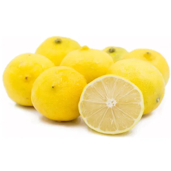 Leylim tatlı şeker limon ağacı fidanı