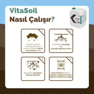 Vitasoil Nasıl Çalışır