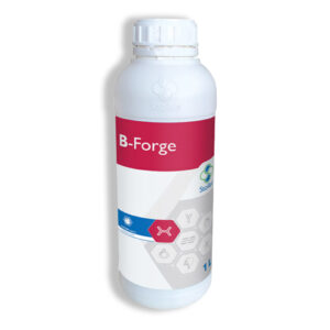 Stoller B-Forge Sıvı Mikro Besin 1 Litre