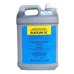 Blackjak SC Hümik Asit 10 Litre